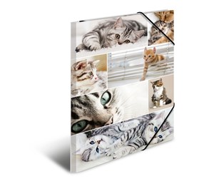 Mapper & Ordrebrett - HERMA Elasticated folder A3 cardboard cats - 19219