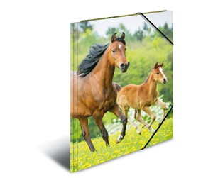 Mapper & Ordrebrett - HERMA Elasticated folder A4 PP Horses - 7140