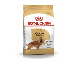 Hund - Royal Canin Cocker Adult 12 kg - AMABEZKAR1015