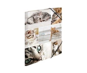 Mapper & Ordrebrett - HERMA 3-flap folder - for A4 - cats - 19212