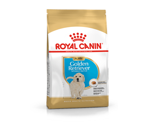 Hund - Royal Canin Golden Retriever Puppy 12kg - AMABEZKAR0852