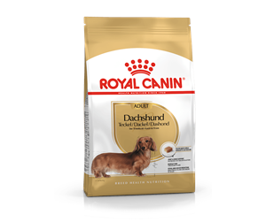 Hund - Royal Canin Dachshund Adult 1.5kg - AMABEZKAR1927