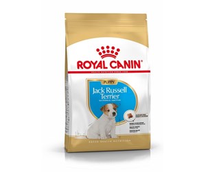 Hund - Royal Canin Jack Russell Terrier Puppy 3kg - AMABEZKAR0504