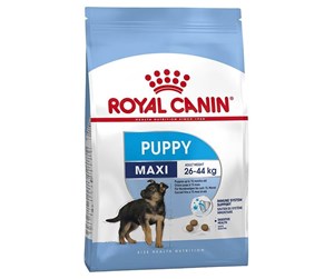 Hund - Royal Canin Maxi Puppy 4kg - AMABEZKAR1115