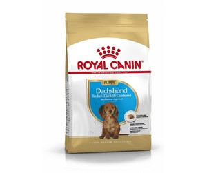 Hund - Royal Canin Dachshund Puppy 1.5 kg - 3182550722575