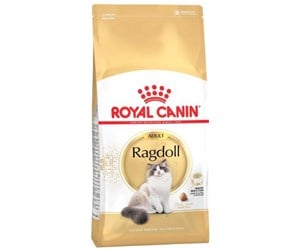 Katt - Royal Canin Ragdoll Adult 2kg - 59759