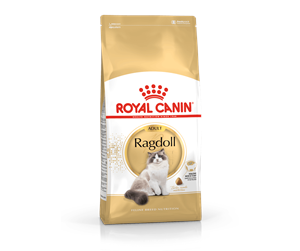 Katt - Royal Canin Ragdoll Adult 2kg - 59759