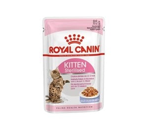 Katt - Royal Canin Kitten Sterilised Jelly 12x 85g - 9003579007167