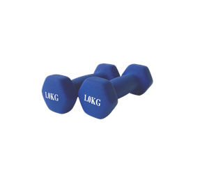 Sport & Fitness - ASG NEOPRENE DUMBBELL SET 1KG - ASG4003IONE SIZE