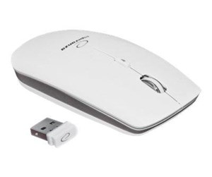 Mus - Esperanza EM120W - mouse - 2.4 GHz - white - Mus - Optisk - 4 - Hvit - EM120W