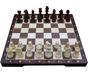 Brettspill & Puslespill - Asmodee Chess Set Big (14') - TWE197914