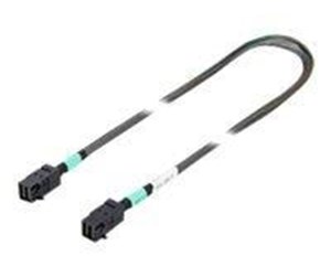 Scsi - Fujitsu SAS internal cable - 47 cm - T26139-Y4040-V8