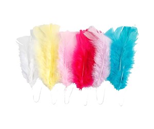 Arts & Crafts - Tilbehør - Creativ Company Feathers in Various Colors 11-17cm 18pcs. - 518490