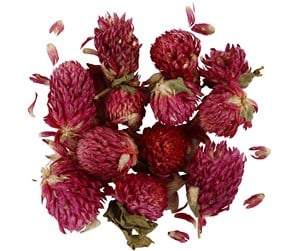 Arts & Crafts - Tilbehør - Creativ Company Dried Flowers Red Clover Purple 15gr - 709502