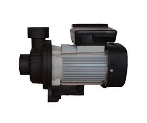 Basseng - BWT Pool pump SP4001 - 555800981