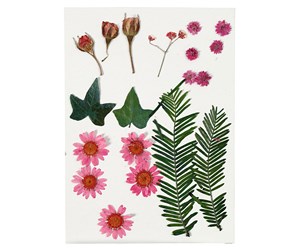 Arts & Crafts - Tilbehør - Creativ Company Dried Flowers and Leaves Light Red 19 pcs. - 504471