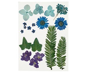 Arts & Crafts - Tilbehør - Creativ Company Dried Flowers and Leaves Blue 19 pcs. - 504472