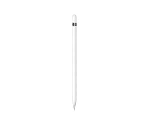 Nettbrett - Andre tilbehør - Apple Pencil (1st Generation) incl. USB-C to  Pencil Adapter - MQLY3ZM/A