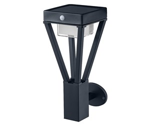 Lamper - LEDVANCE ENDURA STYLE SOLAR BOUQUET Wall Sensor 6W Black - 4058075564541