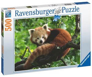 Puslespill - Ravensburger AT: Red Panda Foto 500p - 17381