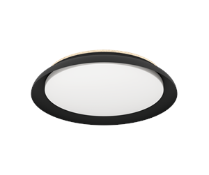 Lamper - EGLO PENJAMO 1 ceiling lamp black - 900857