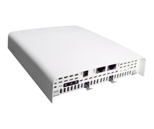 Tilgangspunkt - Ruckus Wireless Ruckus C110 - 901-C110-EU01