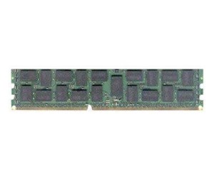 RAM - Dataram - DDR3 - module - 8 GB - DIMM 240-pin - 1333 MHz / PC3-10600 - registered - DRIX1333RL/8GB