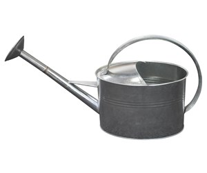 Hagevanning - Home>it Watering Can with Rose Head 5 litres Galvanised - 91504