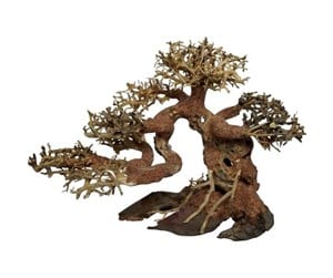 Fisk - 4FISH Bonsai tree roots 15x8x10 cm - AT1020