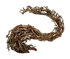 Fisk - 4FISH Dragonhead tree roots 22x10x15 cm - AT1025