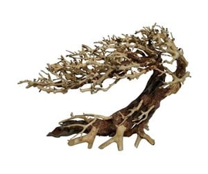 Fisk - 4FISH Tree roots Elegant Brazilian tree 23x10x17 - AT1028