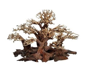 Fisk - 4FISH Tree roots Mini forest 30x16x20 cm - AT1036