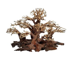 Fisk - 4FISH Tree roots Mini forest 40x20x25 cm - AT1037