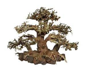 Fisk - 4FISH Tree roots Tree Island 30x15x23 cm - AT1043