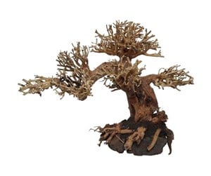 Fisk - 4FISH Tree roots Peaceful Bonsai 23x12x17 cm - AT1049