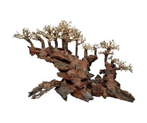 Fisk - 4FISH Tree roots Water bridge 40x30x30 cm - AT1052