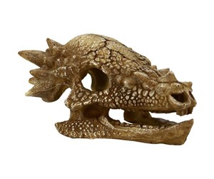 Fisk - 4FISH Skull 15.3x11x7.5 cm - AT47375