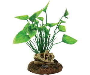 Fisk - 4FISH Skull and plants 6.5x6.3x12 cm - AT47382