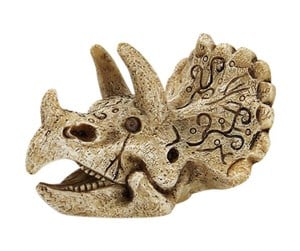 Fisk - 4FISH Skull 8x7x5.5 cm - AT47387