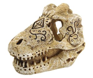 Fisk - 4FISH Skull 7.8x5.3x5.7 cm - AT47388