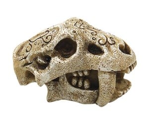 Fisk - 4FISH Skull 7.5x4.2x4.2 cm - AT47389