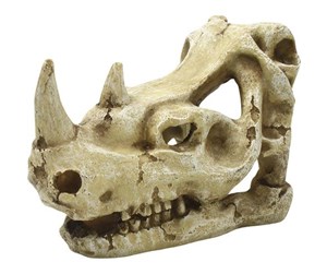 Fisk - 4FISH Skull 16x9.5x10.7 cm - AT47400