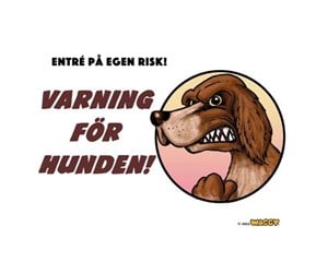 Hund - Eldorado Guard sign  Longhaired Pointer SV - H99363