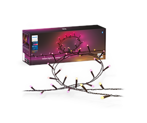 Smarthus - Philips Hue Festavia string lights 500LEDs - 929003674602