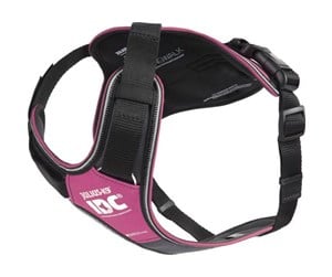 Hund - Julius-K9 K9 IDC Longwalk - pink-grey L - H681562