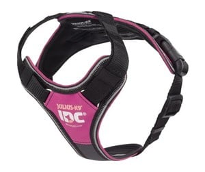 Hund - Julius-K9 K9 IDC Longwalk - pink-grey XS - H682064