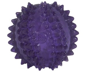 Hund - JW Bristl-ee Cactus Ball - H606366