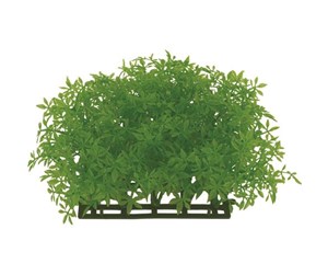 Fisk - Meadow Plastic grass mat 15 x 15 cm - AT7101