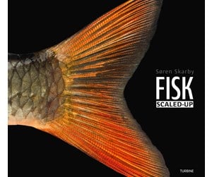 Nature_Science - FISK – scaled-up - 9788740673579