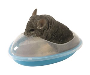 Smådyr - Savic Wllness Chinchilla Bath 35x23x15 cm Blue - G0189